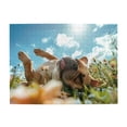 thumbnail image 1 of Dog Lying Meadow Sunny Sky 1000-Piece Wooden Jigsaw Puzzle for Adults, Fun & Challenging Family Brain-Teaser, Perfect Home Decor & Gift, 1 of 7