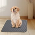 thumbnail image 1 of Dog Mat under $5! Yannianjz Reusable Dog Training Pads, Washable Pee Pads for Dogs, Non-Slip Leak-Proof Dog Mat for Food and Water, Dogs Kennel Crate Pad for Floor Protection, 1 of 5