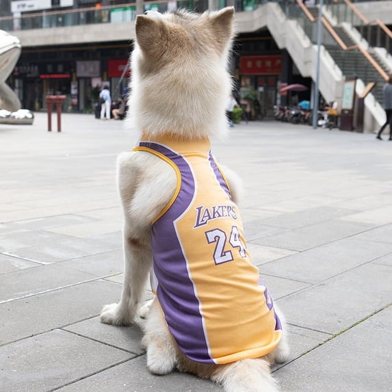 Dog Medium-sized Dog Spring and Summer Mesh Vest World Cup 8 Pairs of Basketball Uniforms Clothes Dog Clothes Pet Acessorio