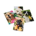 thumbnail image 1 of Dog Memo Pads, 1 of 1