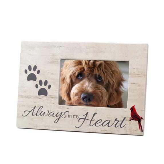 Dog Memorial Picture Frame - Always in My Heart Cardinal and Paw Print Design - Dog or Cat Loss Picture Frame Distressed Wood Background - 2032WM