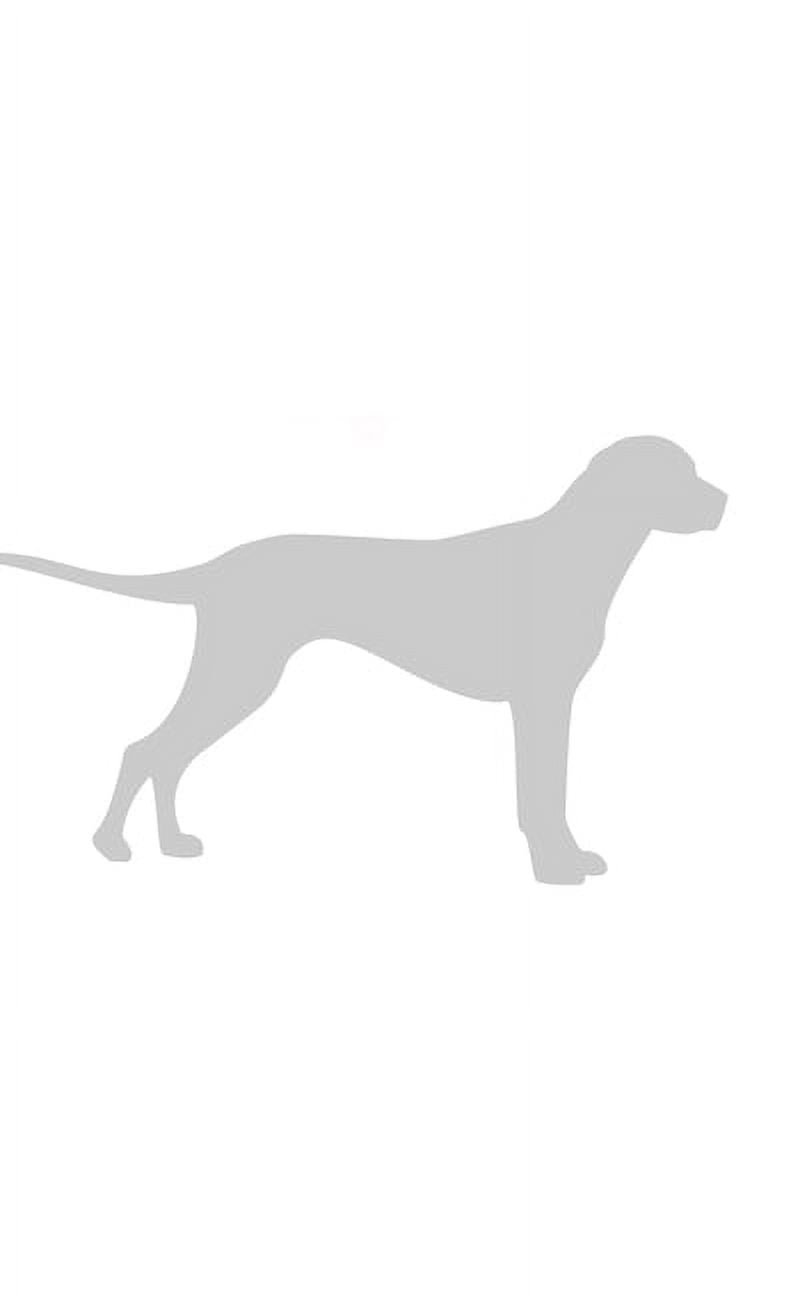 Dog Minamilist Journal: Dog Journal, (Paperback)