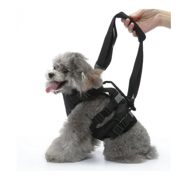 Dog Mobility Support Harness for Aging Disabled Pets At Home Post Surgery Recovery Walking Aid