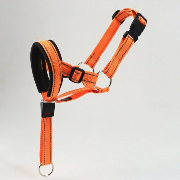 Dog Mouth Muzzles Anti Bark Dog Collar Breathable Dog Training Tool Nylon Muzzle Set With Reflective Strips Summer Pet Leashes