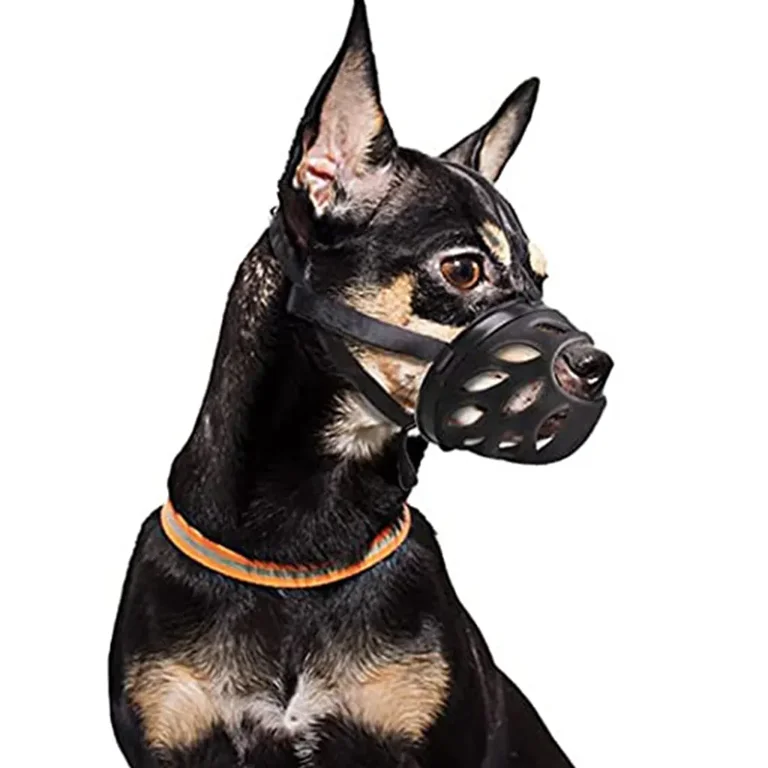 Dog muzzle on human hot sale
