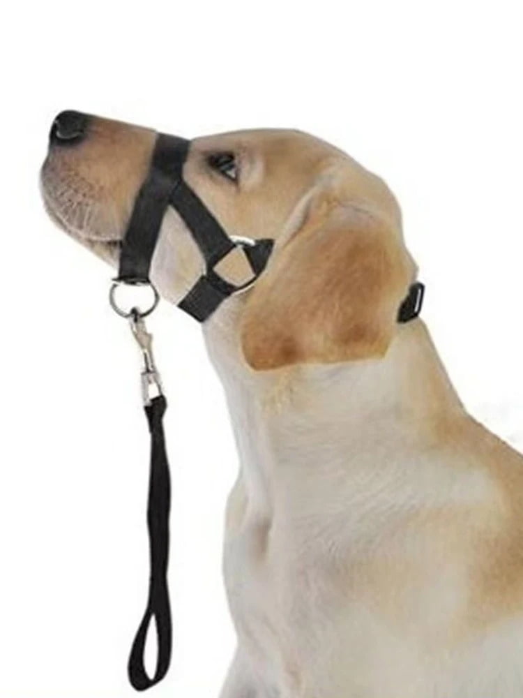 Dog Muzzle Dog Mouth Traction Rope Pet Training Dog Rope Dog Mouth ...
