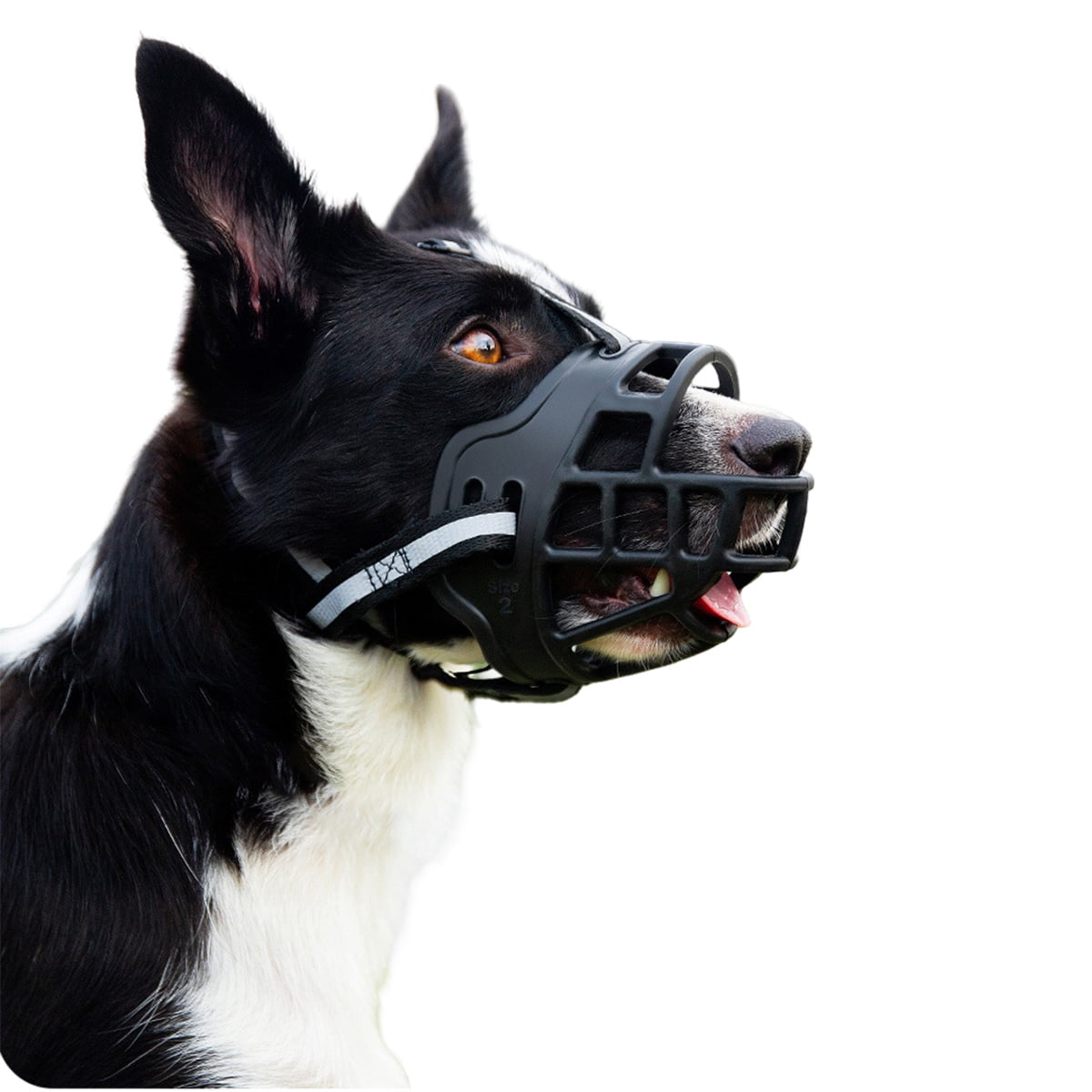 Dog Muzzle, Humane Muzzles for Positive Trning, Stop Biting Chewing