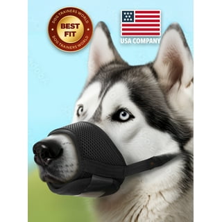 Dog muzzle pet supermarket deals