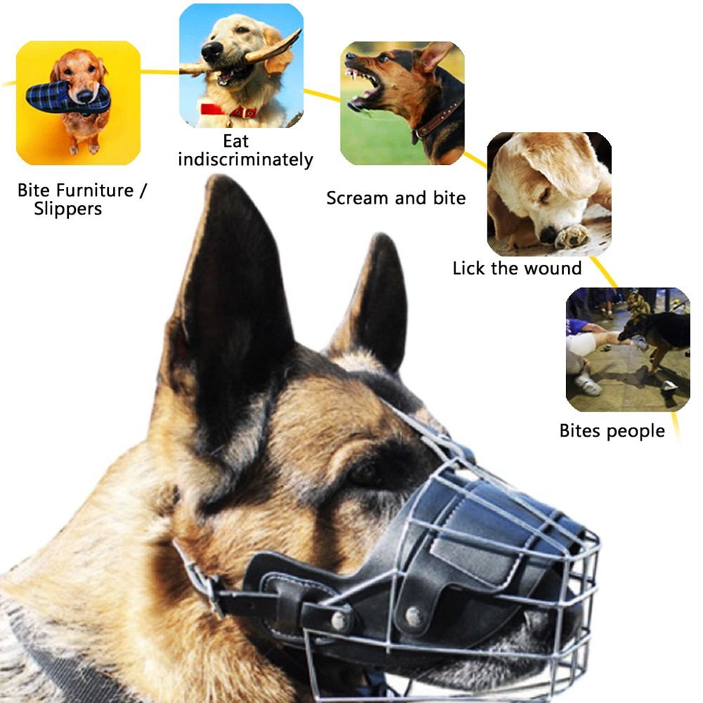 Metal muzzles hotsell