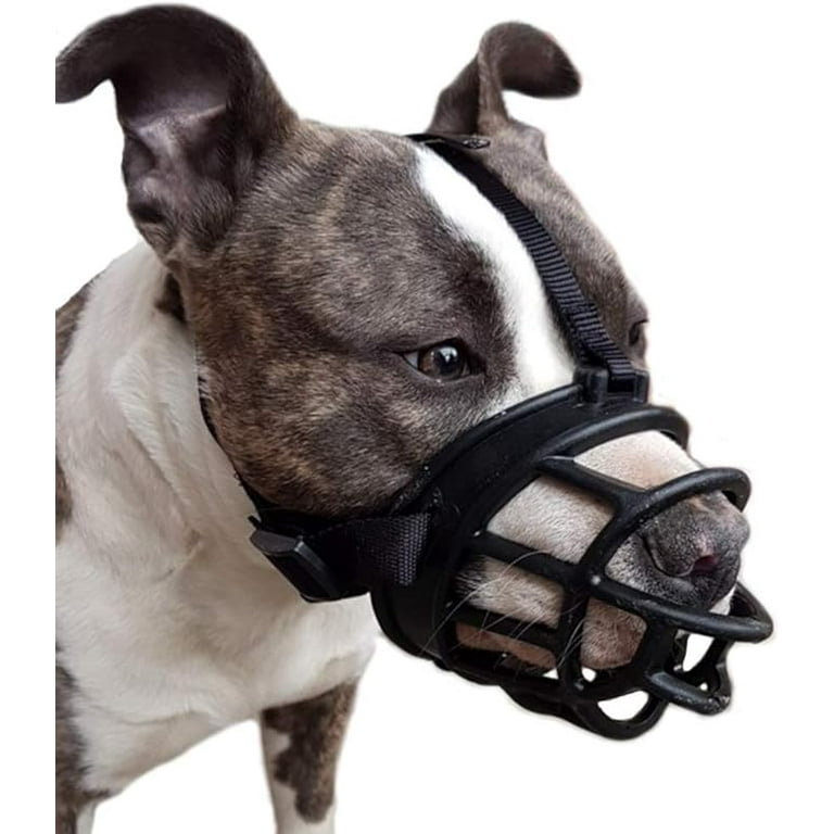 Best muzzle to prevent barking discount