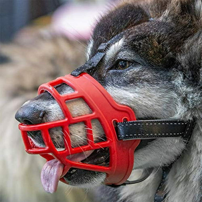 Barkless silicone dog muzzle 2025