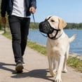 thumbnail image 1 of Dog Muzzle, Soft Breathable Dog Muzzles, Adjustable Basket Muzzles Prevents Chewing and Biting for Grooming Trimming Training (1PC, Black, XXL), 1 of 7