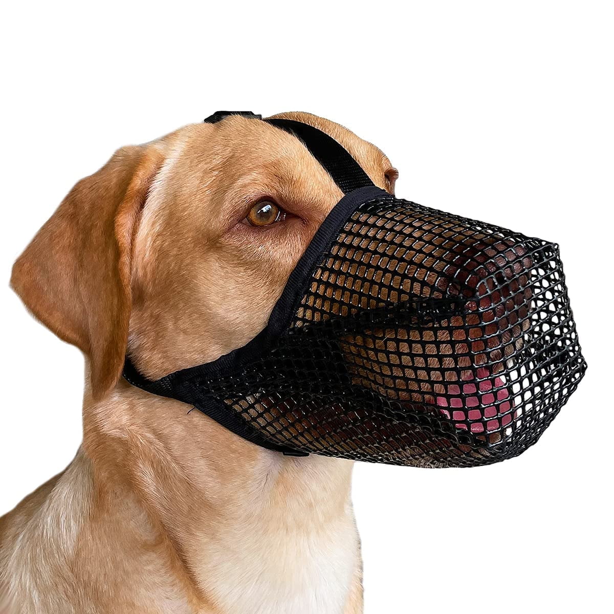 Ameitech Dog Muzzle, Soft Mesh Covered Anti-Biting Biting Chewing
