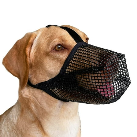 Dog Muzzle,Soft Mesh Covered Muzzles for Small Dogs,Poisoned Bait Protection Muzzle with Adjustable Straps,Prevent Biting Chewing and Licking，Black XS