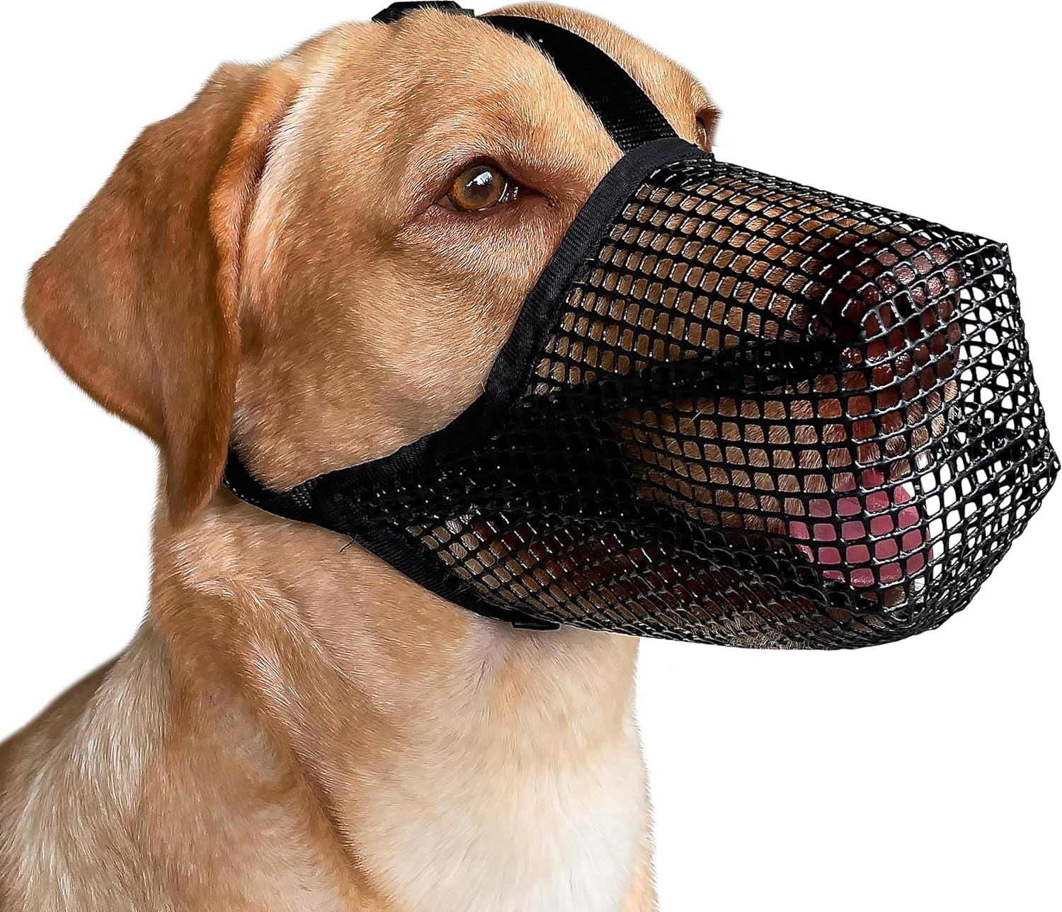 Mesh muzzle for small dogs sales
