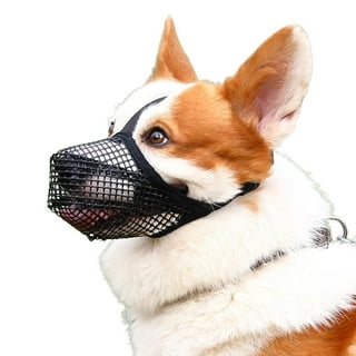 Dog Muzzles That Allow Eating And Drinking