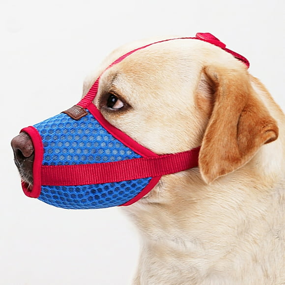 Dog Muzzles That Allow Eating And Drinking