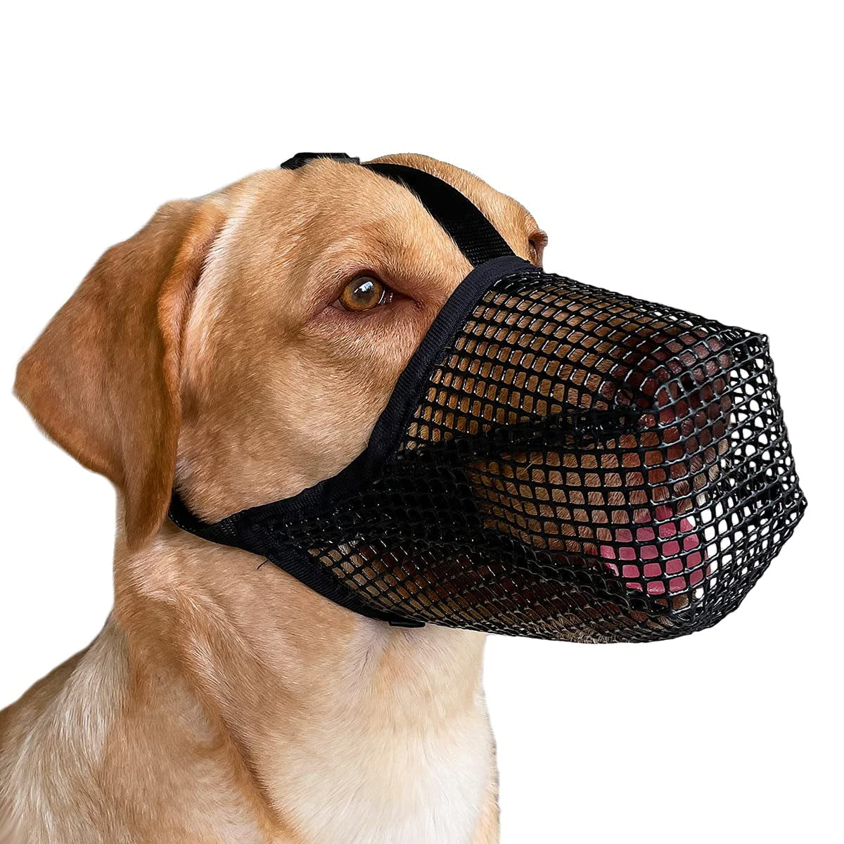 Breathable Adjustable Dog Muzzle for Medium Dogs Ghana Ubuy