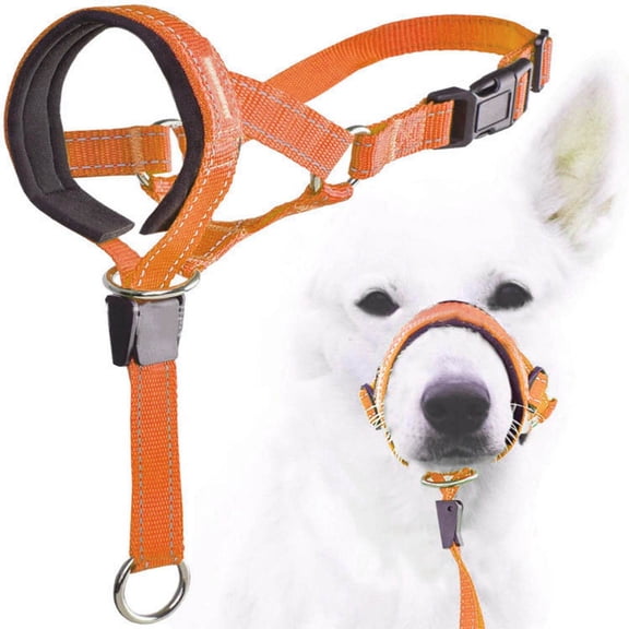 Dog Muzzle with Leash, Padded No-Pull Head Halter for Dog Training, Heavy Duty Leash for Easy Walking, Orange