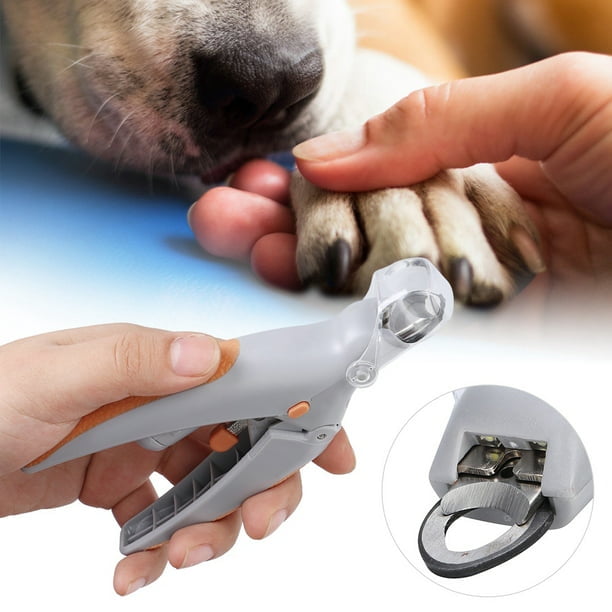 Nail Cutter Of Dogs Dog Nail Clippers With Safety LED Light, 5X
