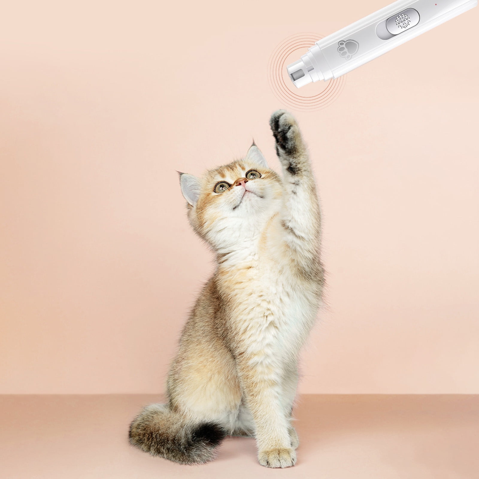 Dog Nail Polisher2Speed And 3 Types Of Nail Polishing Quiet And Low