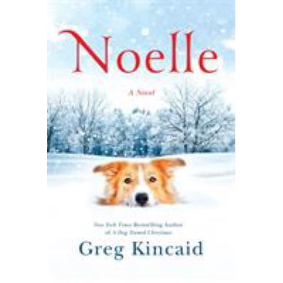 Pre-Owned Noelle (Hardcover) 1524761192 9781524761196