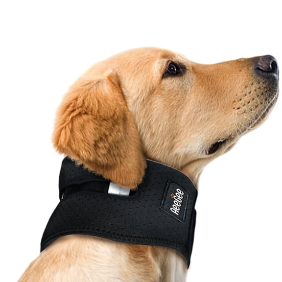Dog Neck Brace Relieves Cervical Spondylosis or Arthritis, Provides Stabilizing Support Neck Brace,M