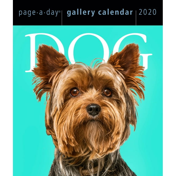 Dog Page-A-Day Gallery Calendar 2020 (Other)