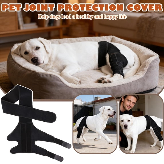 Arthritis Pain RelieverforDogs, Knee StrapforKnee Pain, Knee BandforKnee Pain, Dog Leg BracesforBack Leg, Dog Hip & Joint Care, Black Fabric, Adjustable Straps, Pet Dog