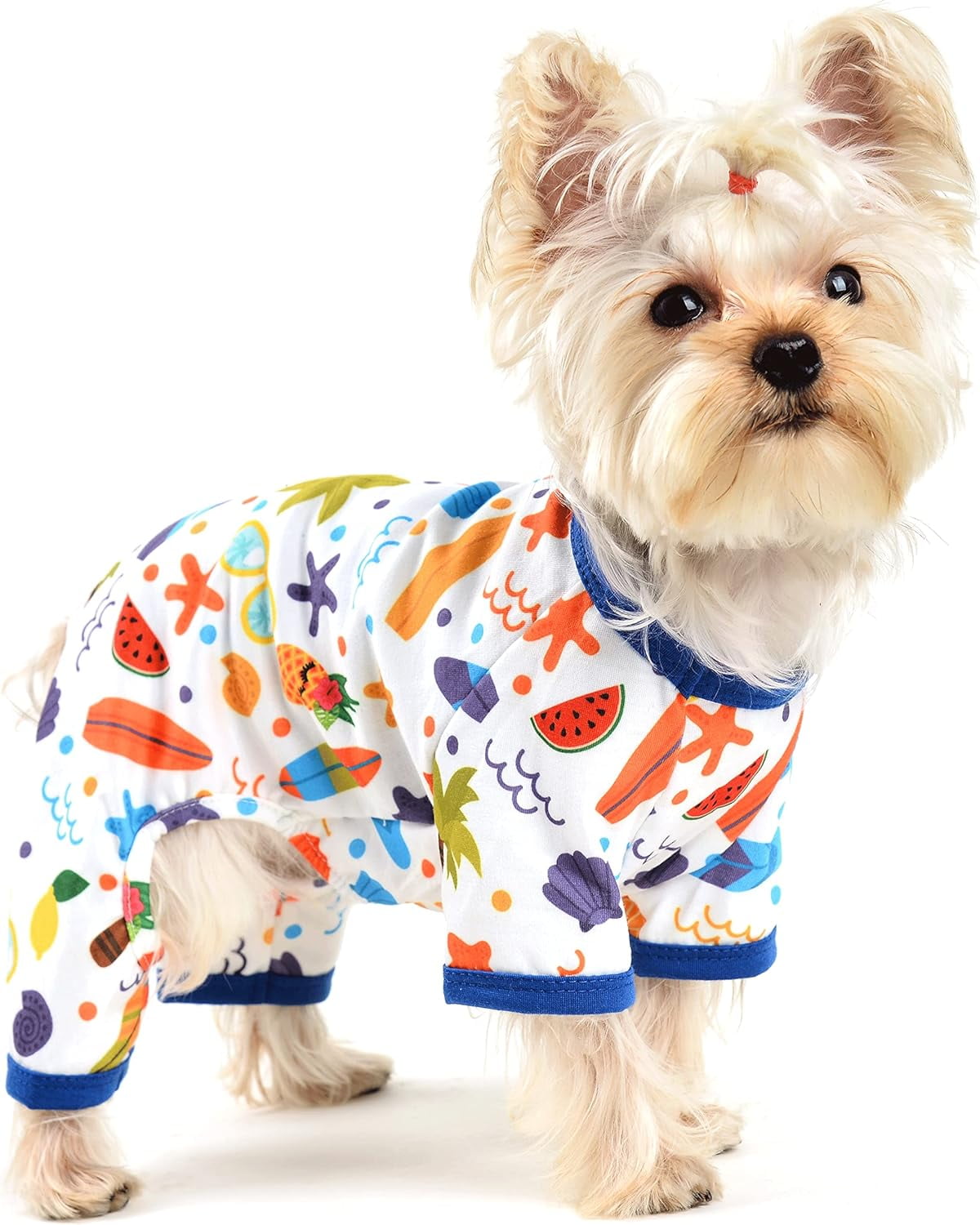 Dog Pajamas for Small Medium Dog Boy Girl, Fruit Banana Avocado Pattern
