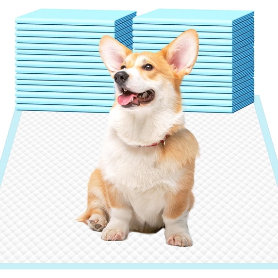 Dog Pee Pads 22"x23", Pee Pads for Dogs, Disposable Puppy Pads Pet Training Pads Super Absorbent Leak-Proof Quick Drying Pee Pads (30 Count)