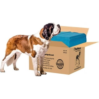 Dog pads with adhesive sales