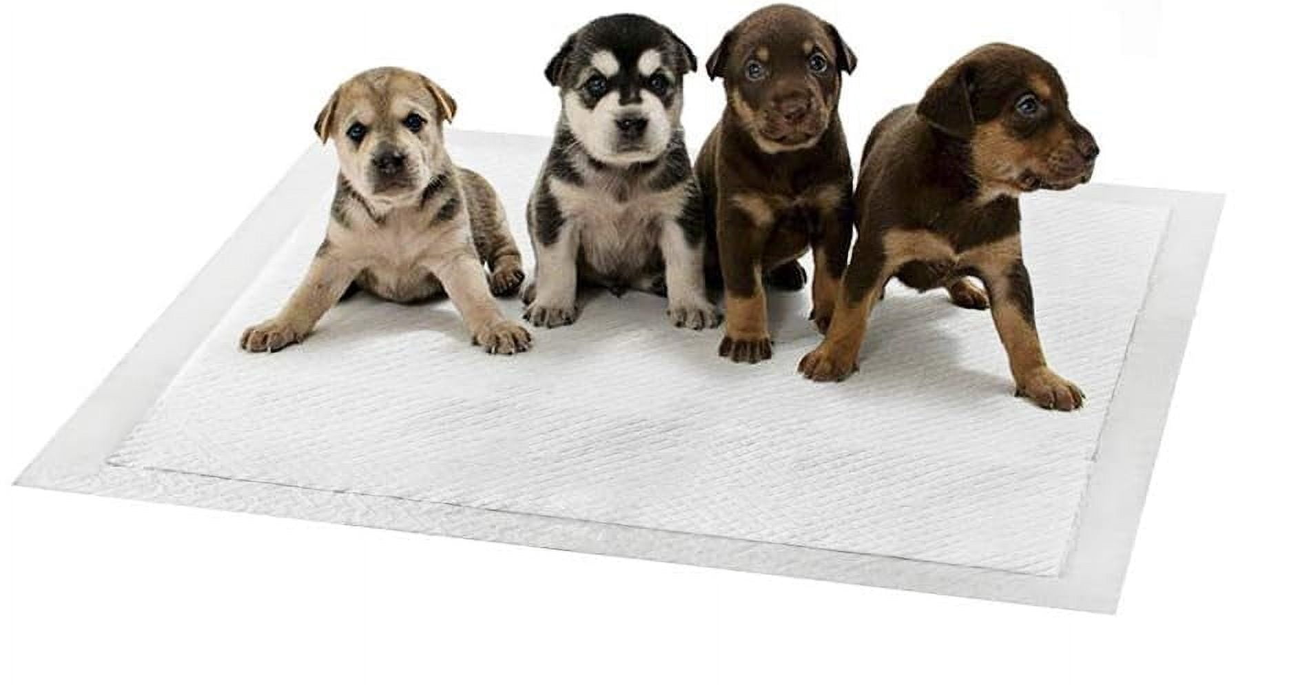 Dog Pee Pads Extra Large 28" x 34", 30 Count, Activated Carbon Charcoal Puppy Pads XL, Potty Pads for Dogs with Adhesive Sticky Tape, Disposable Training Bed Pads for Pets, Doggies, Cats