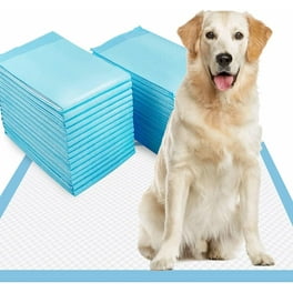 Adhesive puppy pads walmart outlet