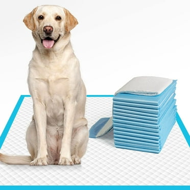 Dog Pee Pads Extra Large , X-Large Training Puppy Pee Pads Super Absorbent & Leak-Proof, XL Disposable Pet Piddle Pad and Potty Pads for Dogs, Puppies, Doggie