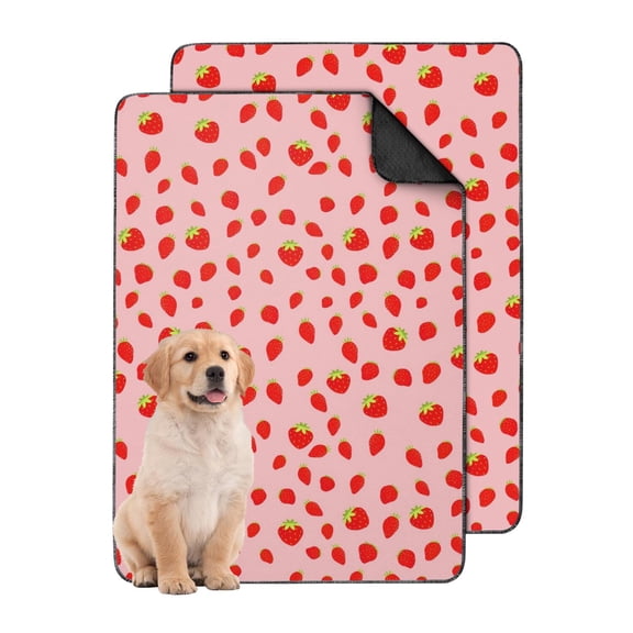 Dog Pee Pads Reusable and Washable, Cheerful Fruit Pattern Non-Slip Mat for House Training and Kennels (Fruit patterns, 24" x35")