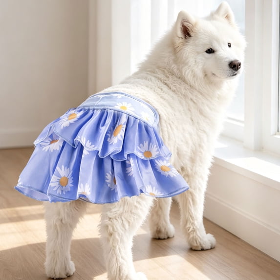 Dog Period Panties with Daisy Print,Absorbent Leak Guard Sanitary Skirt for Female Dogs in Heat,Adjustable Fit Washable Reusable Female Dog Diapers,Cute Design Pet Gift,1 Pack