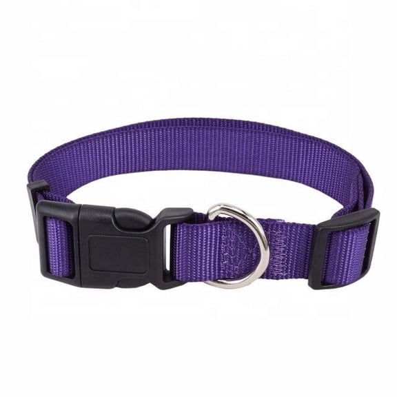 Dog Pet Adjustable Nylon Collar Small Medium Large XL With Buckle Puppy