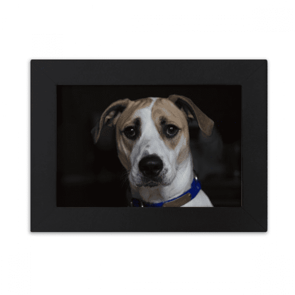 Dog Pet Animal Dark Picture Desktop Photo Frame Ornaments Picture Art Painting