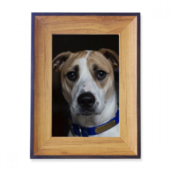 Dog Pet Animal Dark Picture Photo Frame Exhibition Display Art Desktop Painting