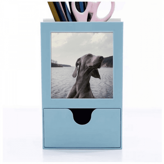 Dog Pet Animal Gray Picture Desk Supplies Organizer Pen Holder Card