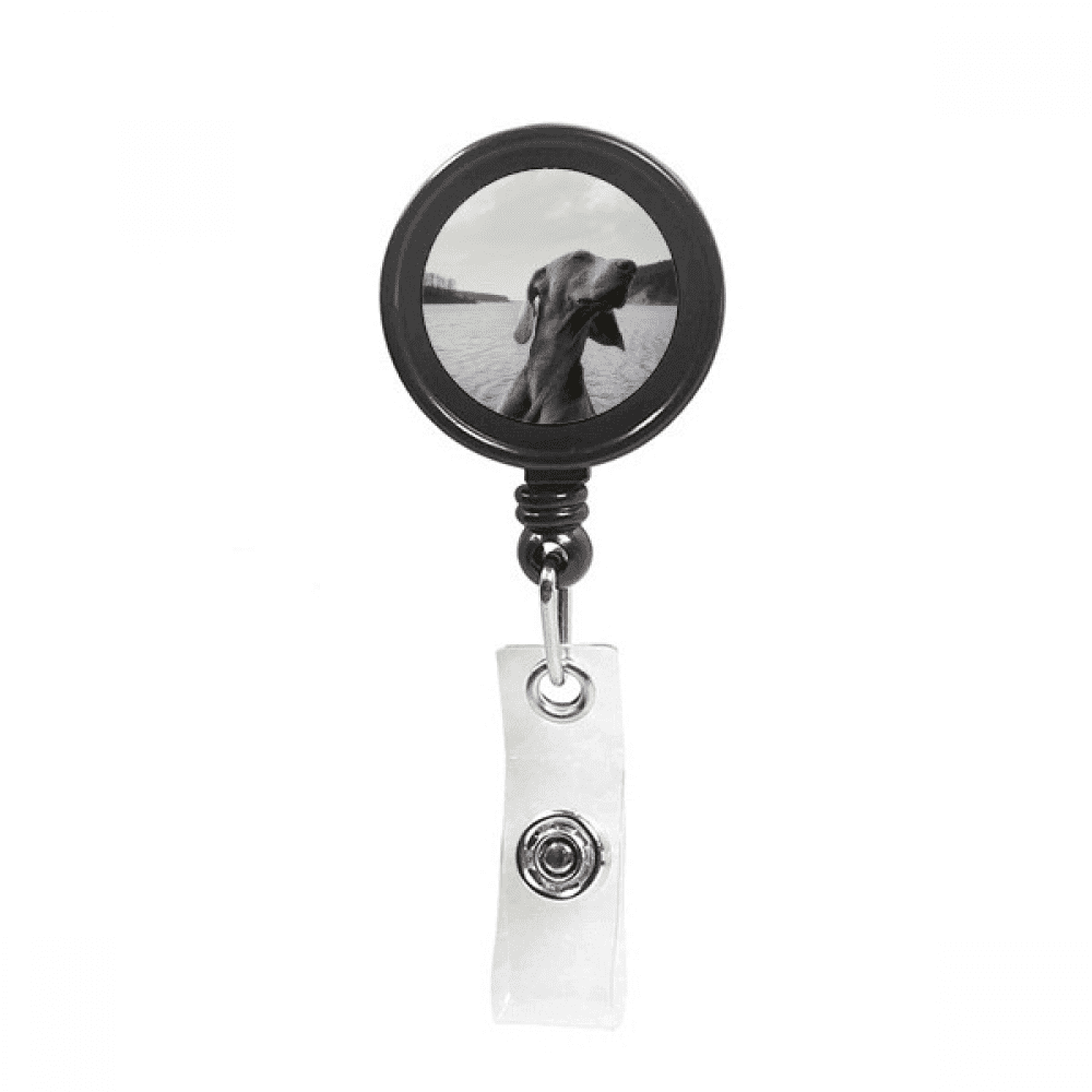 Dog Pet Animal Gray Picture Retractable Keychain Badge Holder ID Badge