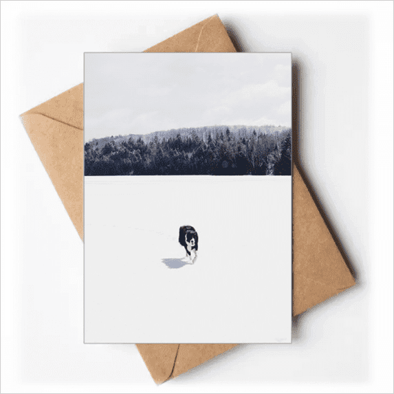Dog Pet Animal Snow Photo Greeting Cards You are Invited Invitations