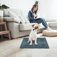 thumbnail image 1 of Dog Pet Mat Sleeping Bed Portable Soft Rest Cushion, Lightweight Easy Clean Comfortable Support Non Slip Cozy Sleep Surface, For Dogs Cats Indoor Home Travel Cage Use, 1 of 5