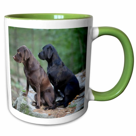 3drose, Dog Photo Two Labrador Retrievers Sit Outside Cute Labs Pets, 15oz Two-tone Green Mug