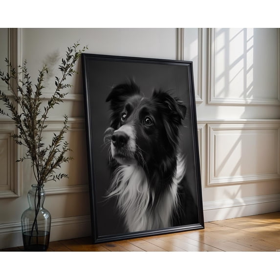 Dog Photography Border Collie Portrait And Poster , Poster Print Only ...