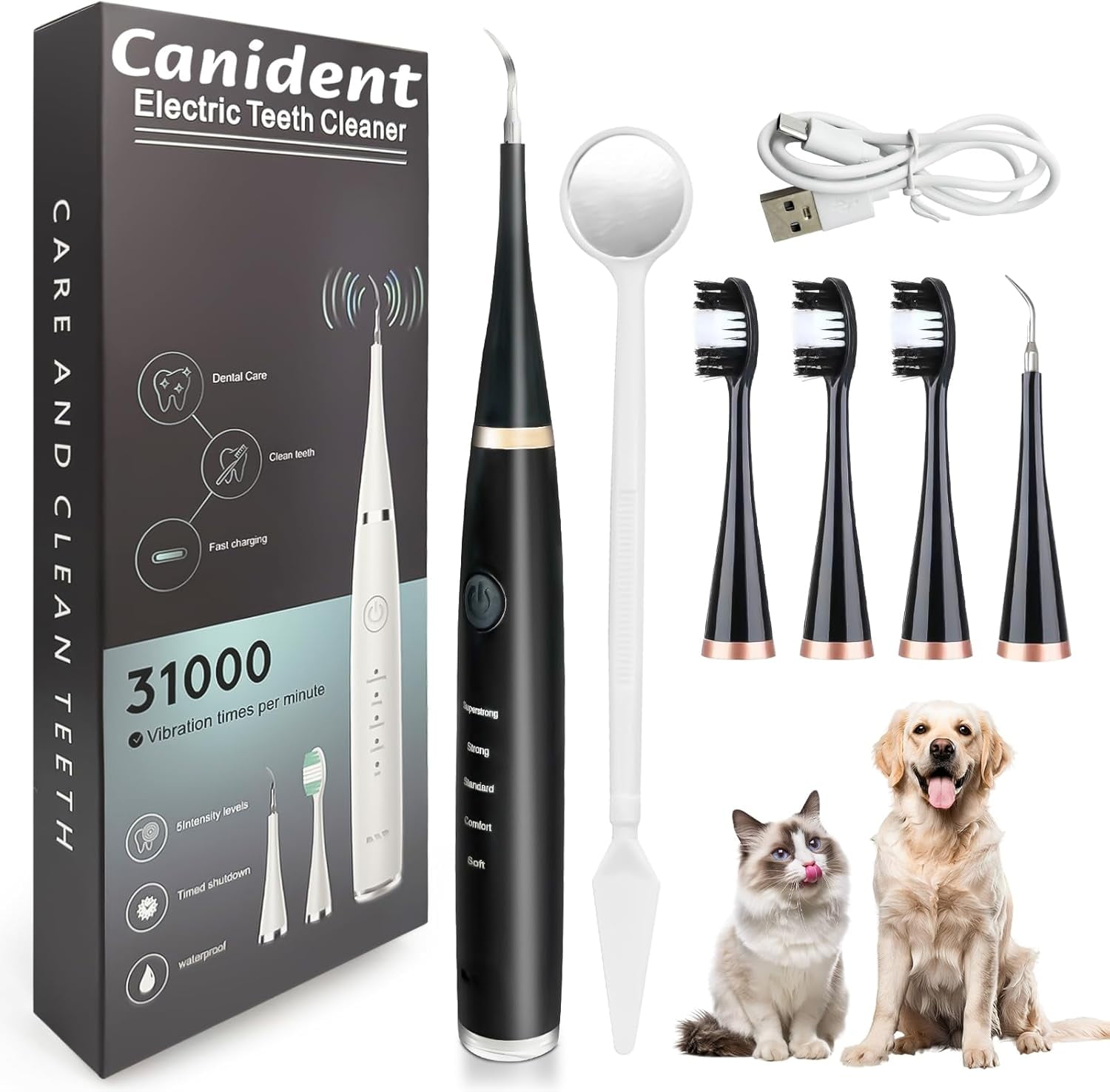 Dog Plaque and Tartar Remover,Dogs Teeth Cleaning Kit with Led