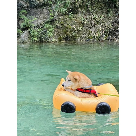 Dog Pool Float Inflatable with Canopy for Small Dogs