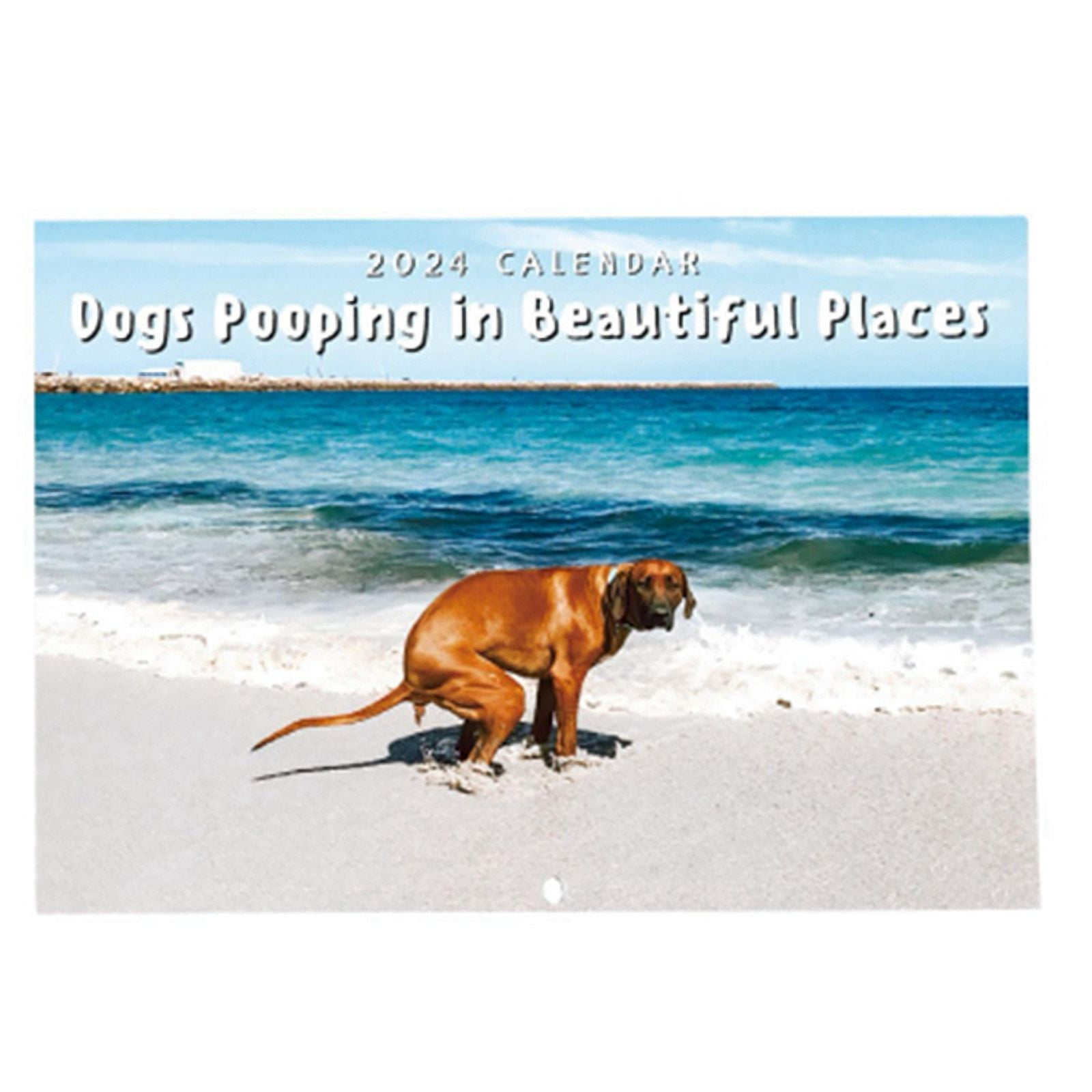 Dog Pooping Wall Calendar Funny 2025 Pooches with Beautiful Calendar