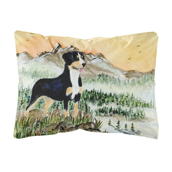 Carolines Treasures SS8119PW1216 Entlebucher Mountain Dog Decorative Canvas Fabric Pillow, Large, Multicolor